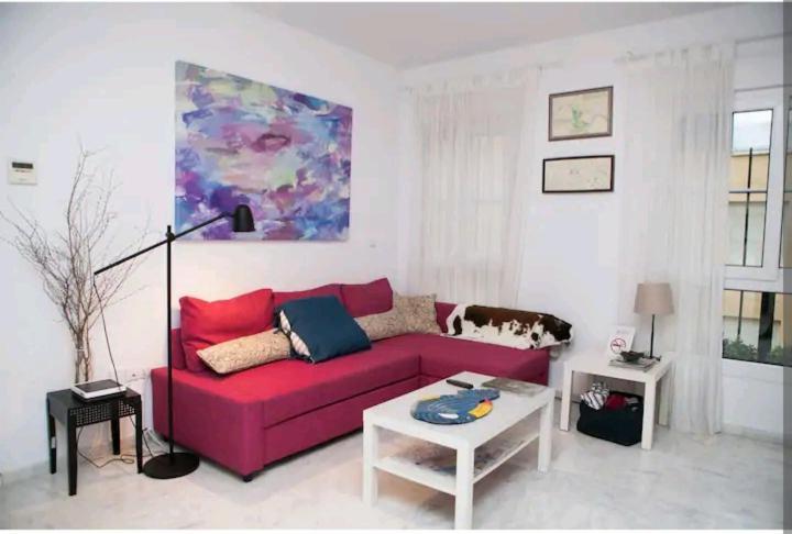Appartement Nuevo Apartamento Agradable Tranquilo Y Acogedor